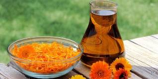 phương pháp đối phó với nấm